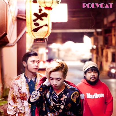 polycat (1)
