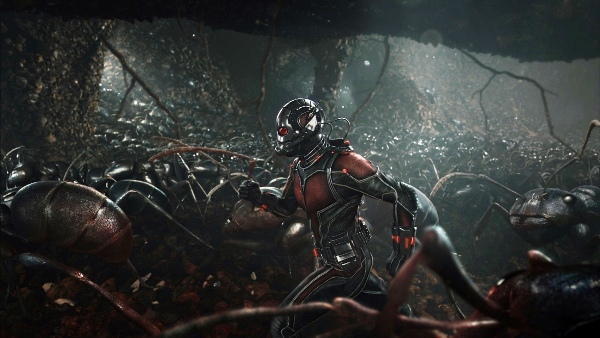 Marvel's Ant-Man Scott Lang/Ant-Man (Paul Rudd) amongst his ants. Photo Credit: Film Frame © Marvel 2015
