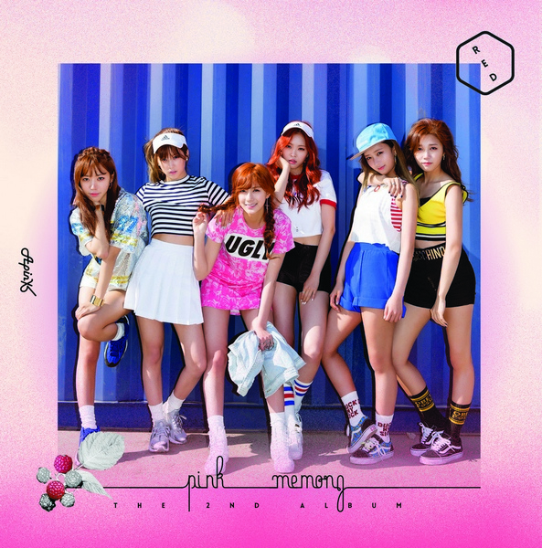 4756018_Apink_Pink Memory_Red jewel case-Booklet.indd