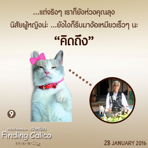 Finding Calico (10)