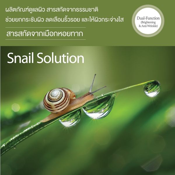 snail solution