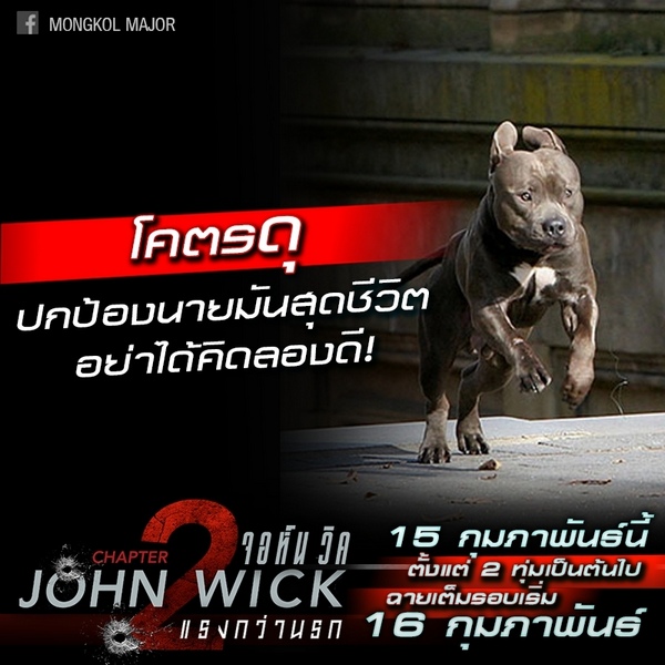 JohnWick (6)