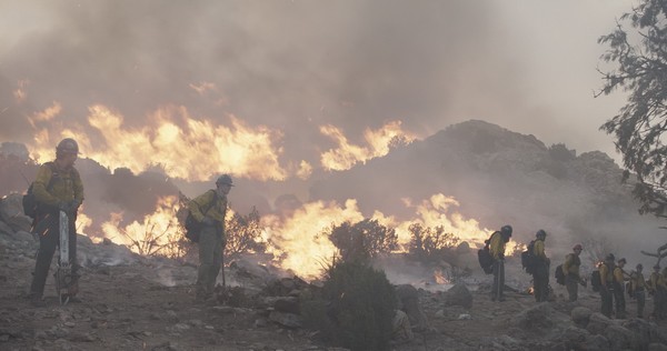 The Granite Mountain Hotshots clear brush around the alligator Juniper tree to save it in Columbia Pictures' ONLY THE BRAVE.